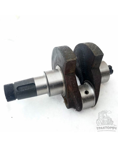 Коленчатый вал S195